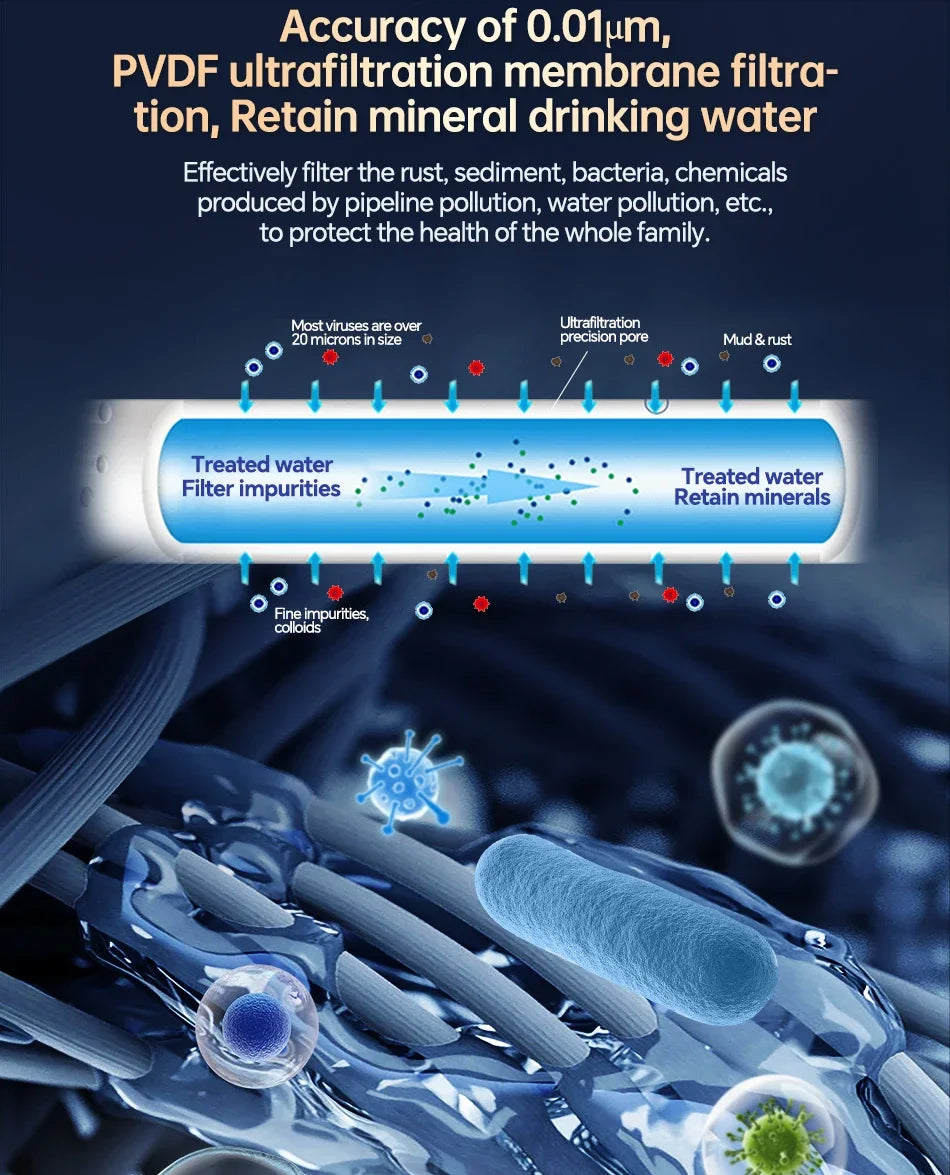 Professional Ultrafiltration Water Purifier